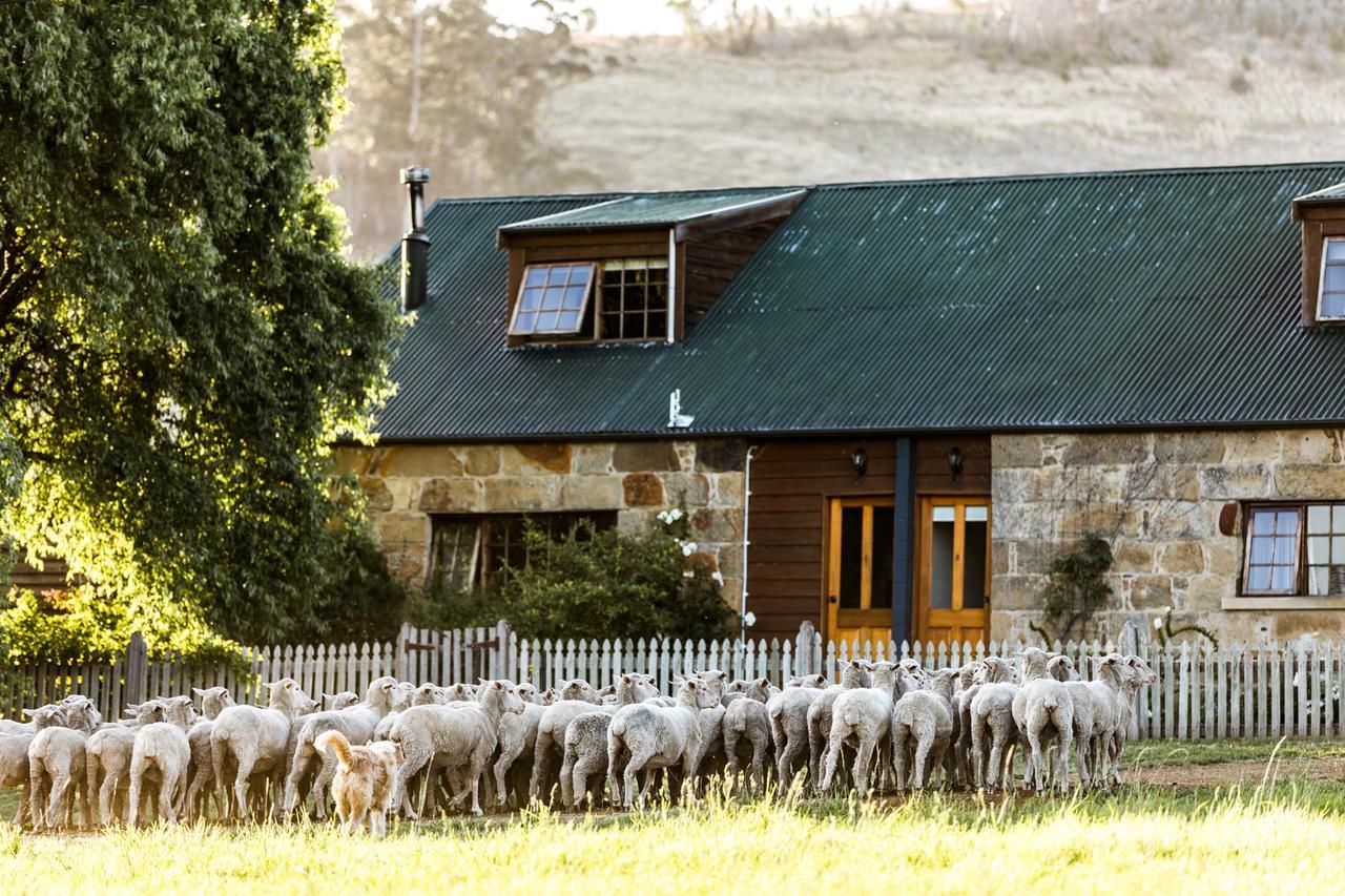 Daisy Bank Cottages Richmond Exterior foto